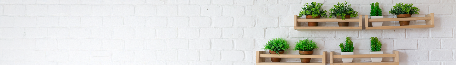 collection-banner-image