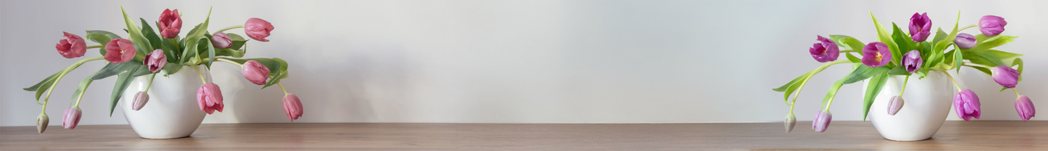 collection-banner-image